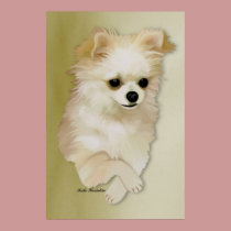 Chihuahua Fawn Puppy Poster posters
