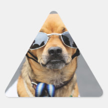 Chihuahua - Hello Ladies! Triangle Sticker