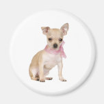 Chihuahua It's A Chihuahua Thing Refrigerator Magnet