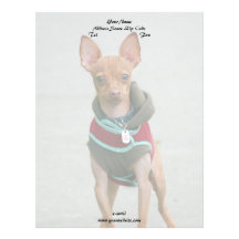 Chihuahua letterhead