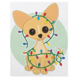 Chihuahua Lights flyers