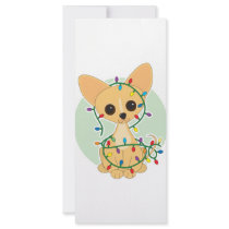 Chihuahua Lights Rack Card Design