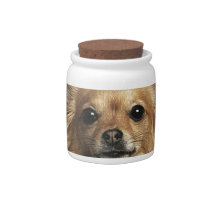 Chihuahua Long Hair Candy Dishes