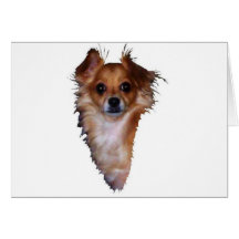 Chihuahua Lovers Greeting Cards