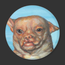 Chihuahua Magnet