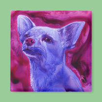 Chihuahua Magnet - "Biscuit" magnets