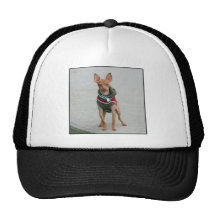 Chihuahua Mesh Hat
