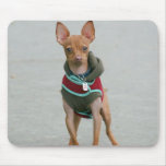 Chihuahua mousepad