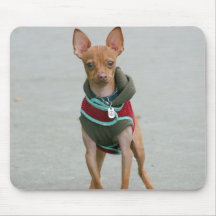 Chihuahua mousepad