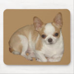 Chihuahua Mousepad
