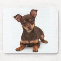 Chihuahua Mousepad mousepads