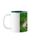 chihuahua mugs