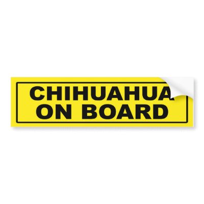 Chihuahua on Board Bumper Sticker by RayBarnsbury