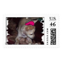 chihuahua painter postage