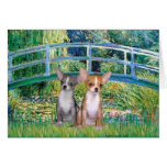 Chihuahua Pair - Bridge Card