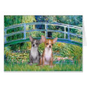 Chihuahua Pair - Bridge cards