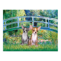 Chihuahua Pair - Lily Pond Bridge posters