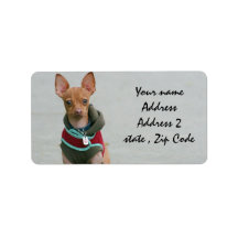 Chihuahua Personalized Address Label