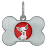 Chihuahua pet tag