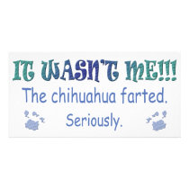 Chihuahua Photo Greeting Card