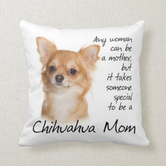 chihuahua biting pillow