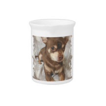 Chihuahua Pitcher