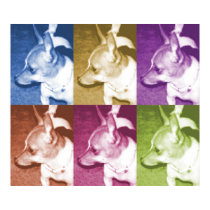 Chihuahua PopArt Poster posters by RLMdesignes Chihuahua PopArt Poster posters
