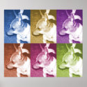 Chihuahua PopArt Poster posters