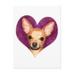Chihuahua Portrait Post Card