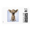 Chihuahua postage