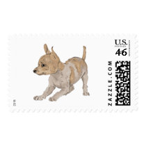 Chihuahua postage by cutecanines Chihuahua postage