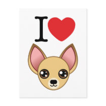 Chihuahua Postcard