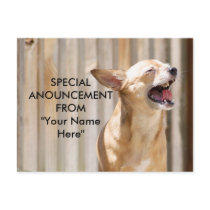 Chihuahua Postcard by SuRi_Photography Chihuahua Postcard