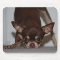Chihuahua Power Mouse Pad mousepads by Phimcree Chihuahua Power Mouse Pad mousepads