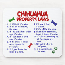 Chihuahua Property Laws