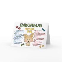 Chihuahua Property Laws 4 Cards