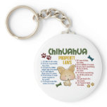 Chihuahua Property Laws 4 Key Chain