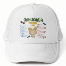 Chihuahua Property Laws