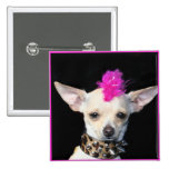 Chihuahua Punk Button