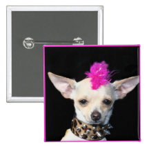 Chihuahua Punk Button