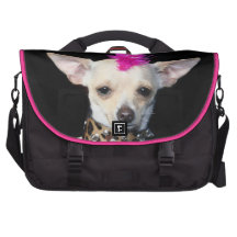 Chihuahua Punk dog Laptop Messenger Bag