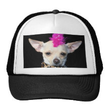 Chihuahua Punk Mesh Hat