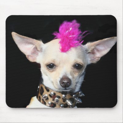 Chihuahua Punk mousepad mousepad