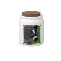 Chihuahua Pup Candy Jar