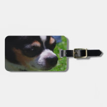 Chihuahua Pup Luggage Tag