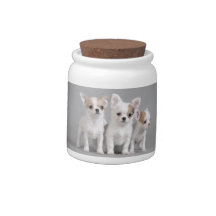 Chihuahua puppies candy jar