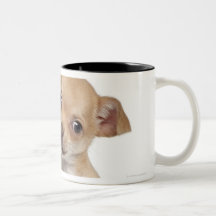 Chihuahua puppy (2 months old) coffee mug