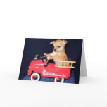 Chihuahua puppy greeting card