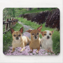 Chihuahua Purple Mousepad by normagolden Chihuahua Purple Mousepad