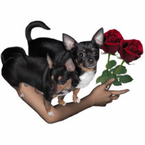 Chihuahua Roses Photo Sculpture photo sculptures